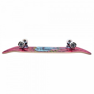 skateboard_completo_powell_peralta_vallely_elephant_birch_pink_8_25_4