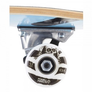 skateboard_completo_powell_peralta_vato_rats_light_blue_8_0_4