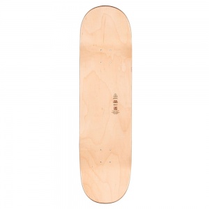 skateboard_deck_globe_goodstock_sage_green_9_0_2