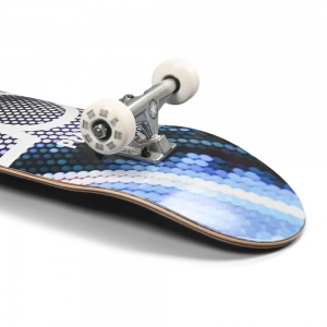 skateboard_plan_b_complete_team_multiverse_7_75_4