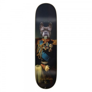 skateboard_plan_b_portrait_sheckler_8_125_1