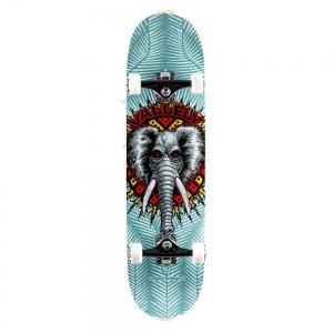skateboard_powell_peralta_vallely_celadon_8_25_1