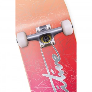 skateboard_primitive_nuevo_daybreak_8_125_3