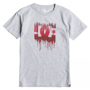 t-shirt_junior_melting_ss_by_heather_grey_1