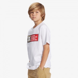 t_shirt_dc_shoes_boys_dc_density_zone_white_5