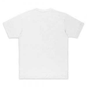 t_shirt_dc_shoes_x_venture_awakeco_white_2