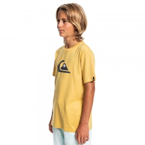t_shirt_quiksilver_comp_logo_youth_rattan_4