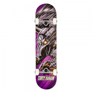 tony_hawk_complete_descent_multi_7_5_1