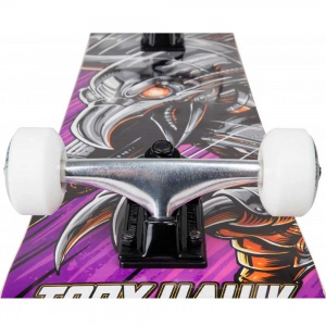 tony_hawk_complete_descent_multi_7_5_3