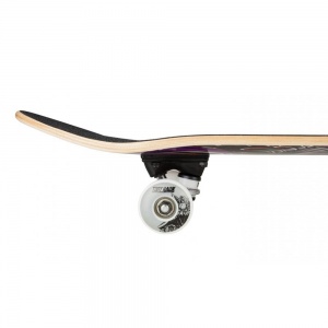 tony_hawk_complete_descent_multi_7_5_4