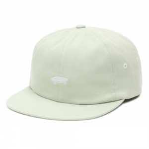 vans_salton_ii_snapback_celadon_green_1